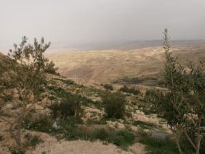 Moses's view of the Promised Land