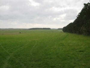 View of Stonehenge cursus which continues through gap in trees on horizon